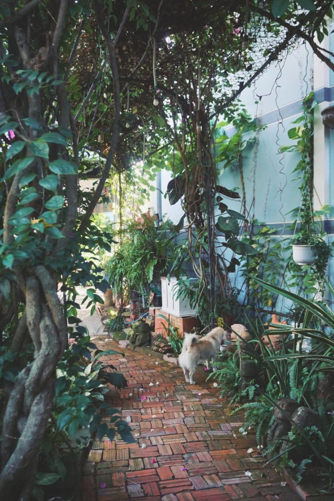 Mekong Pottery Homestay, Green-Friendly & Boat Tour Vĩnh Long Екстериор снимка